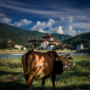 Bumthang Cultural Trek Tour Image